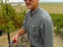 NW Winecast for Oct. 7, 2008:In the vineyard with Wade Wolfe NW Winecast for Oct. 7, 2008:In the vineyard with Wade Wolfe