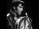 I Slipped, I stumbled, I fell. Elvis Cover Del Bradley
