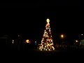 Christmas Tree Lighting in Miami Shores Christmas Tree Lighting in Miami Shores