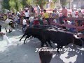 Encierros realizados na Feira Taurina da Moita do Ribatejo 2008: