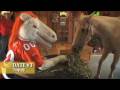 videos de MilesReality The Bachelor *Please Watch in High Quality*