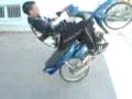 videos de alania neas zwhs!