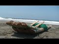 Surfing & Fishing Mejia Beach South Peru