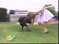 Upps Pannen Clip Mix