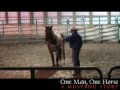 A Mustang Story - \"Respect & Control\" (Episode 3) A Mustang Story - \"Respect & Control\" (Episode 3)