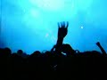 Bassnectar @ Rothbury 2008