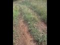 LT-R 450 Helmet Cam