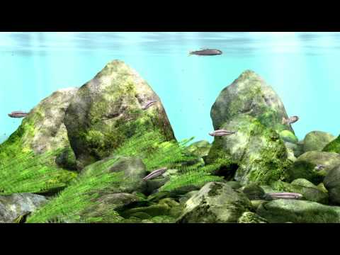 昼寝・仮眠用アラーム 20分版 (20min later Alarm for Napping)