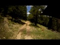 Woods Trail