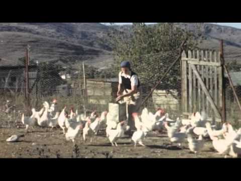 Hazorea Trailer