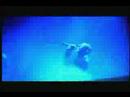 Linkin Park Given Up Music Video