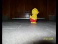 Pollo Karina xD