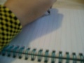 allysharaynebow,meganoonagh,diary
