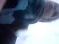 the-flight-of-the-henrietta-1.html