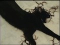Search Video