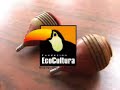 EL TROMPO EN EVOLUCION