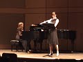 carmen fantasy for flute and piano