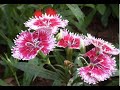 deva_tujhe_kiti_sundar_akash deva_tujhe_kiti_sundar_akash
