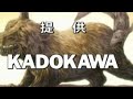 純情ロマンチカ 【under the darkness】