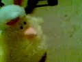 Re: the dancing chicken!!!!!
