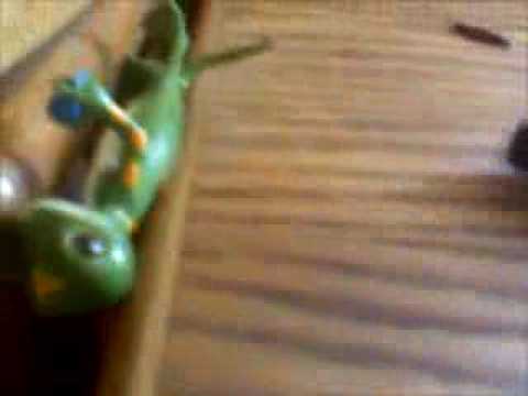 how to get rid gecko