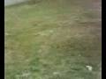 videos de cuzza jumpin his sisters lil bike!!!