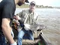 Slayin Cats