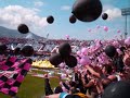 un favoloso tributo alla squadra della mia (e della loro) citt�, composto ormai pi� di dieci anni fa, quando per noi palermitani la serie b era un miraggio all'orizzonte, per un motivo o per un altro ci sfuggiva sempre all'ultima battuta, e quando la serie a era un sogno difficile anche da immaginare. due straordinari interpreti della musica palermitana, l'ormai affermato attore di successo tony sperandeo, e il compianto giovanni alamia, autore di pagine memorabili e di canzoni che dipingevano con grande poesia o grande ironia la realt� della citt� di palermo.picciotti, basta cu' tutti 'sti chiacchiari,ora sintemunni sta canzuni. e forza paliermu, comu sempri!!!