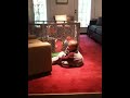 The shoe boy