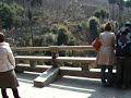 kiyomizu?dera