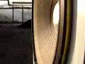 Estrada... Tonsil STX  Unitra CELESTION=DIY
