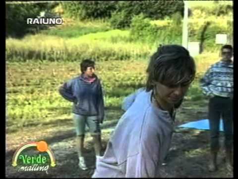 FLORA Srl - Pisa - LAVANDA - Verde Mattina - Raiuno