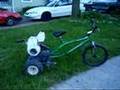 Mini Trike
