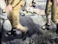 destenet speed demond_hardstyl apologize