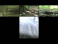 videos de The Six Mile Creek Zipline 180º