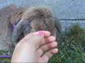 Rest in peace,baby love