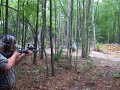 Mauser 96 .308 sporter Fred Hit IT!!!!! and The Dog