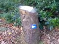 Hopetoun House In Autumn (Part 1: The Back Entrance)