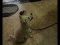 Video082