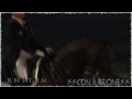 'Dressage' Commercial (HD)[350+ Subscribers!]