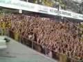 BVB Support