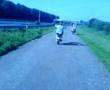 wheely willemdorp met ze 2e en zipsph20