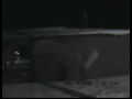 Extreme Sledding: Roof Style. Extreme Sledding: Roof Style.