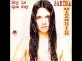 CANCIONES GAYS.SANDRA MIHANOVICH.