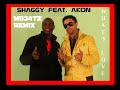 Shaggy feat. Akon - What's Love (MB34tZ Remix)