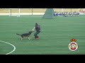 Preview video <strong>Qualificazione Coppa di Spagna Protection solo Lanciati</strong>