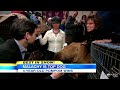 Best in Show: Westminster Dog Show 2012 Ends With Crowning of Malachy, a Pekingese, as Top Dog
