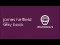 James-Hetfield-incea