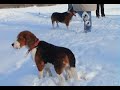 2007-01-27_zima_rusalka3[mpeg1,384x288,1250,44.1