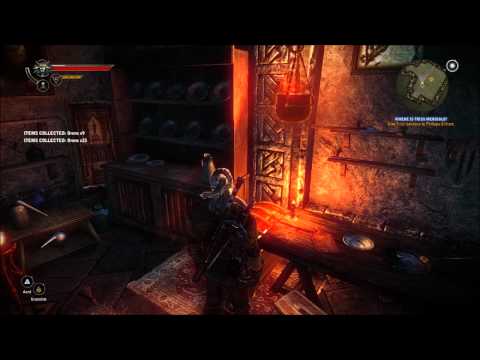 The Witcher 2 : Assassins of Kings